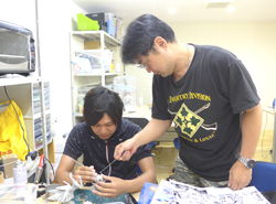 フィギュアの学校(専門学校)について
